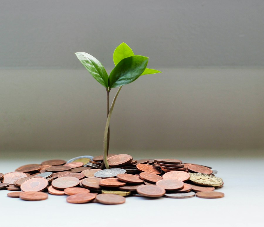 Muda de planta crescendo sobre um monte de moedas